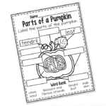 Parts of a Pumpkin Worksheet - Kindergarten Worksheets 101