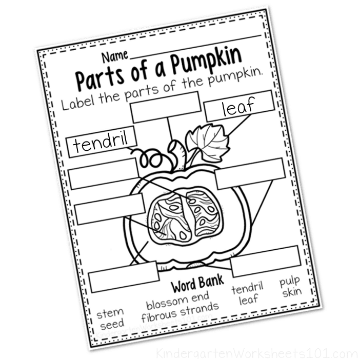 Printable Parts of a Pumpkin Worksheet